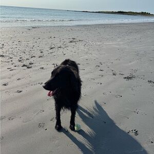 Meet your Posher, Victoria